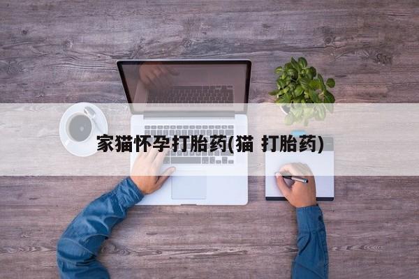 网上打胎药专门卖店家猫怀孕打胎药(猫 打胎药)